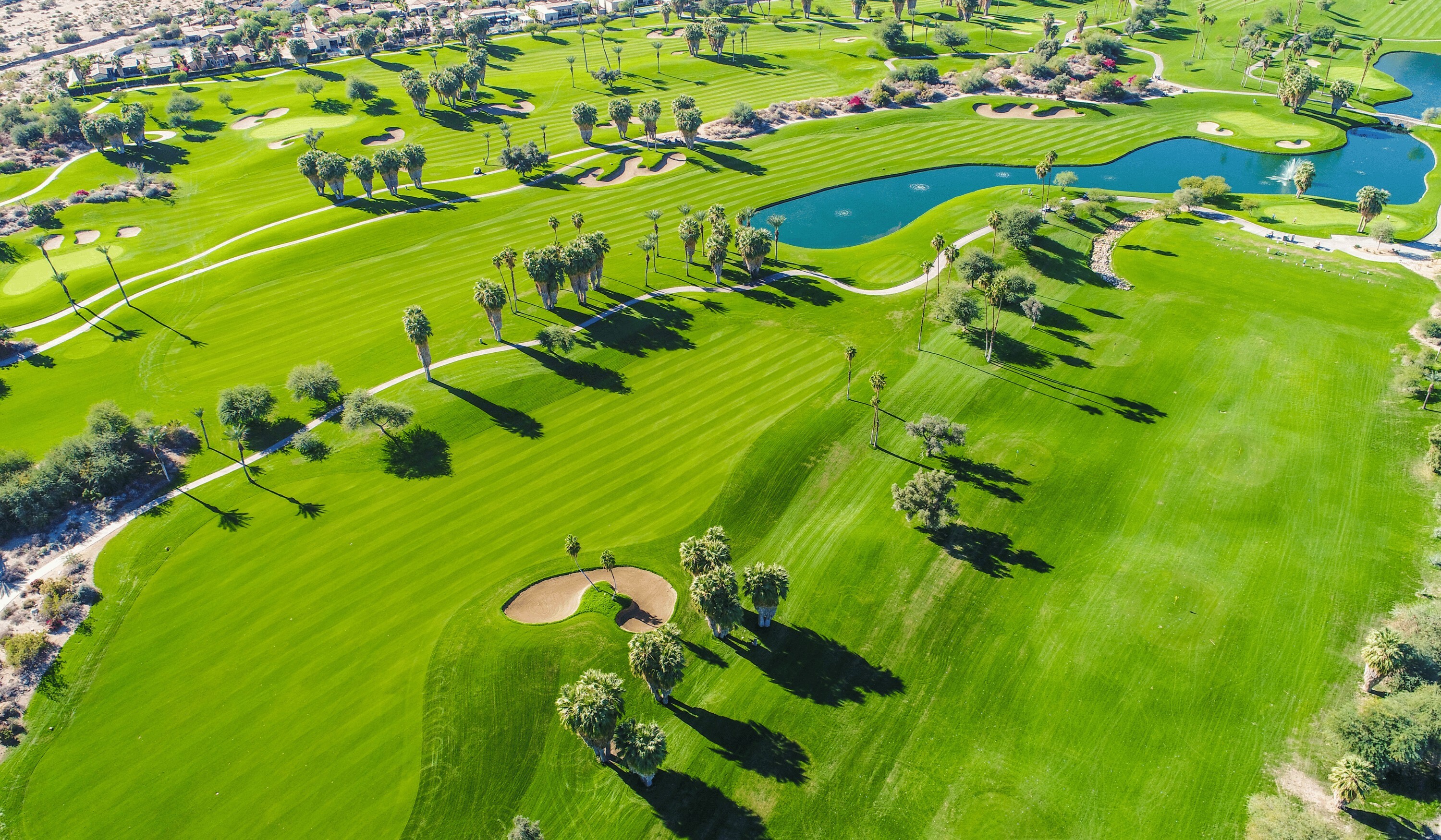 Blog Feature Image (46)