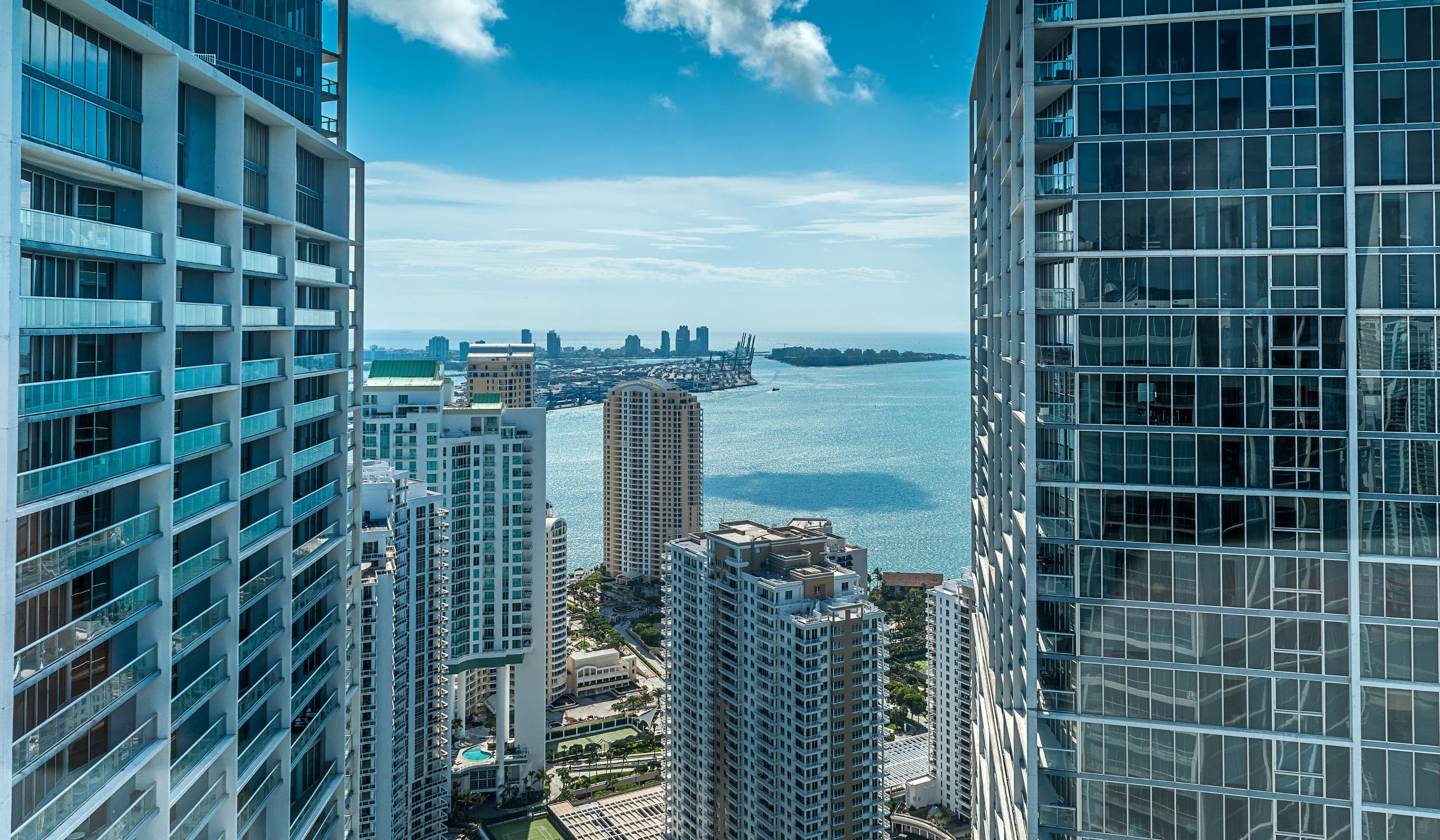 The Elser - Nelson Ibarbe FN