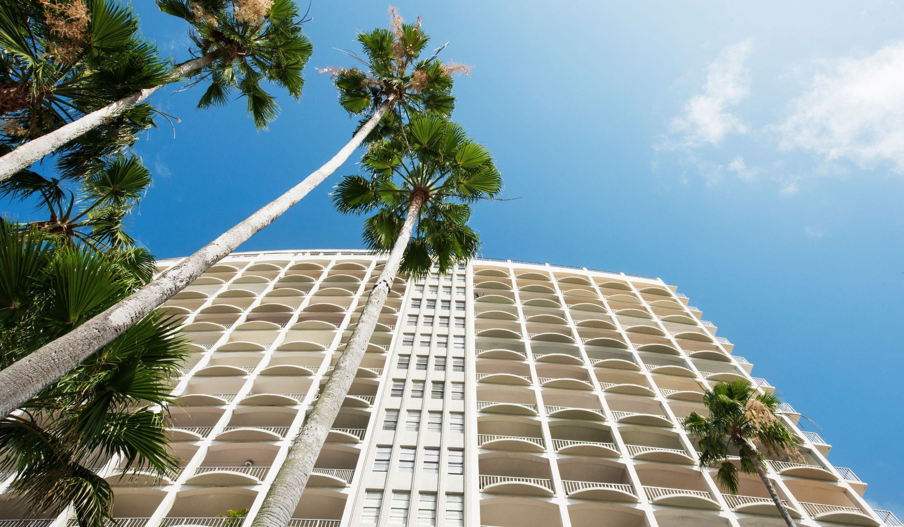 Blog Feature Image - 2024-11-18T164102.334