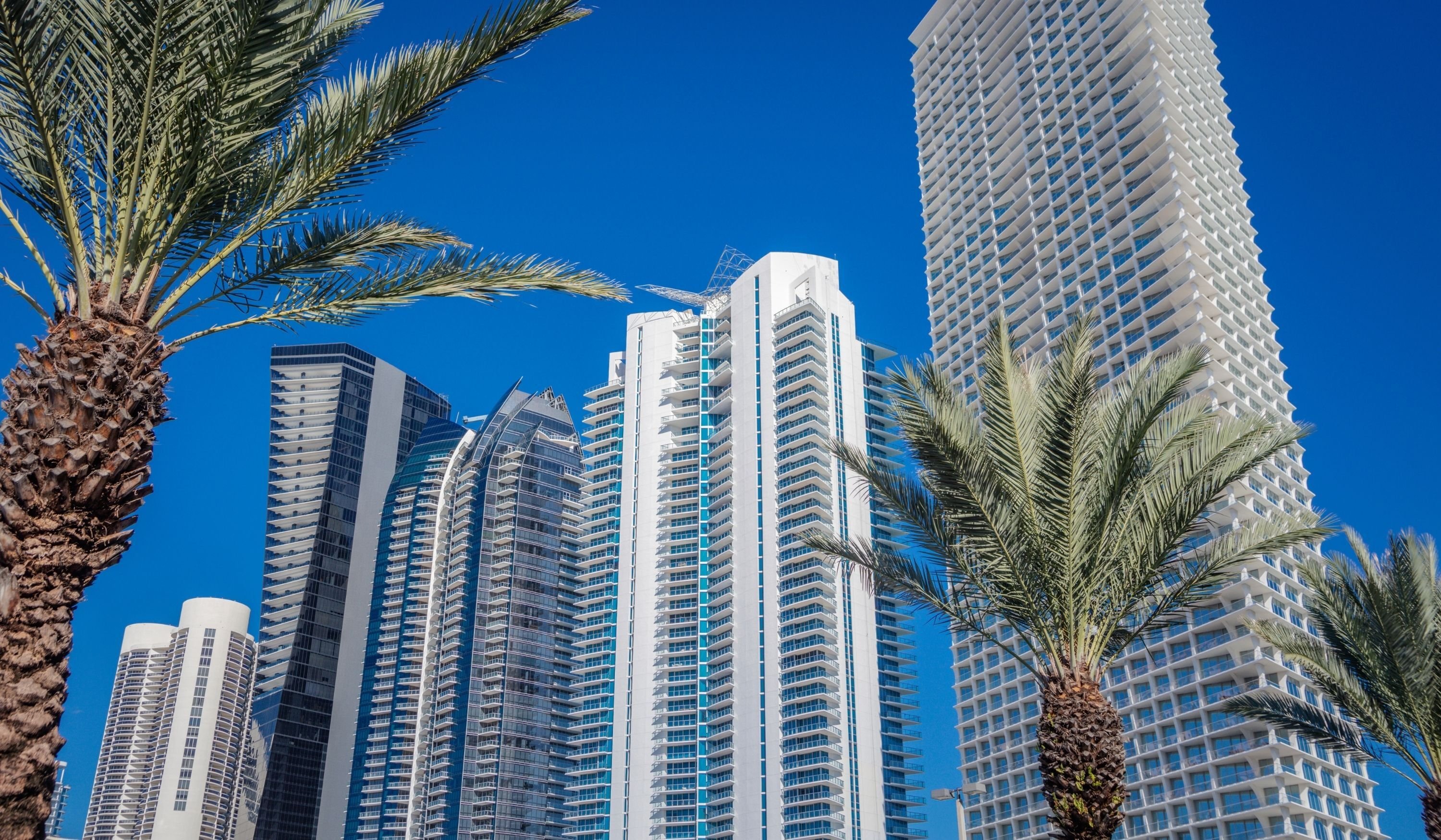 South Florida Condos and Skylines (7)