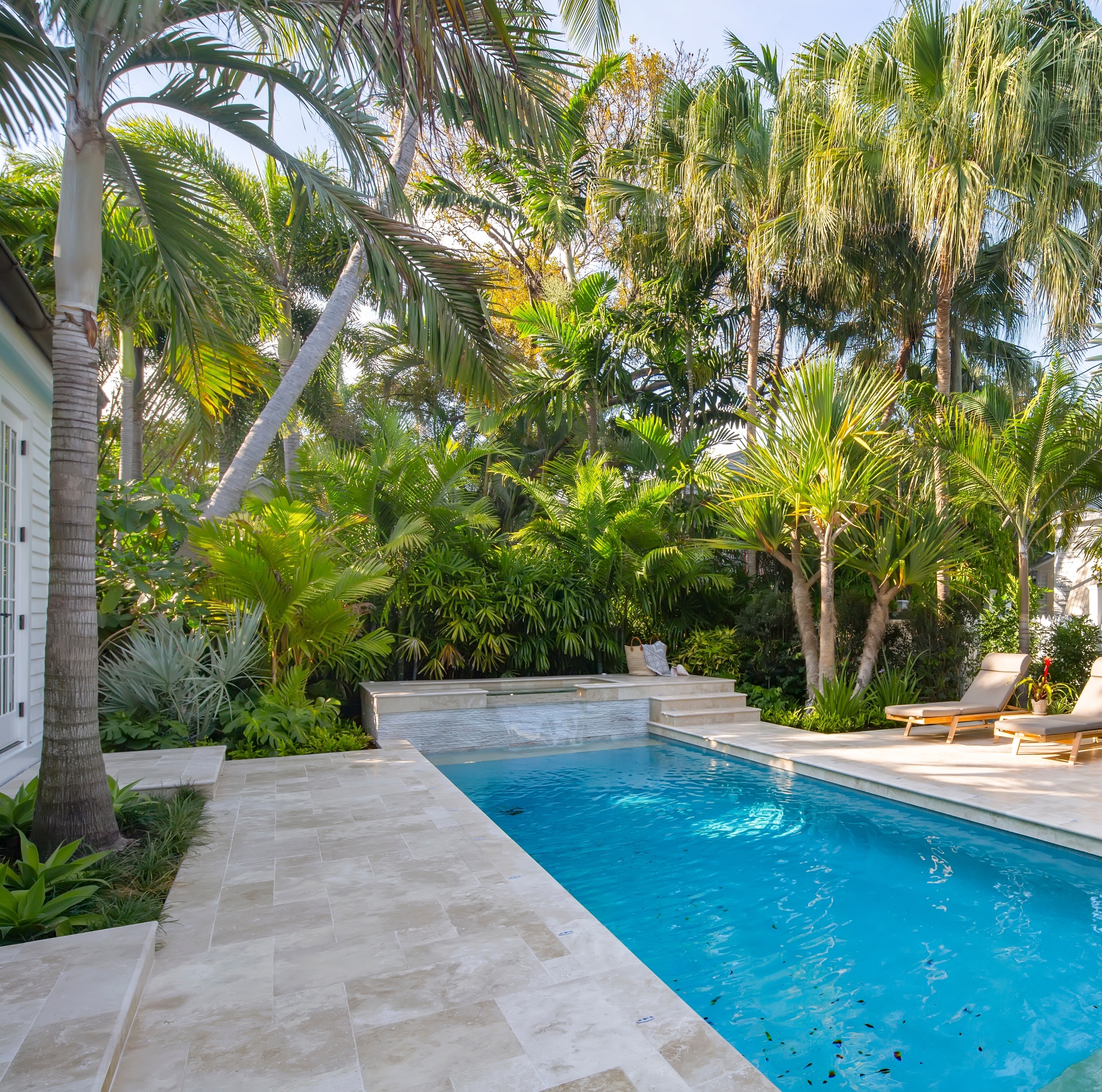 shutterstock_2516911029